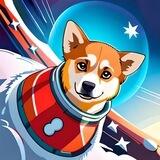 SpaceX Shiba