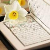 خودای دلۆڤان...🦋