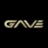 GAVE | Community