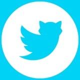 TwitterCat $TWICAT