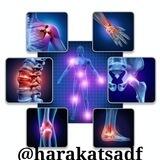 حرکات اصلاحی صدف