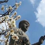 一泽上下分群已上压3000u（秒下款）