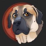 KARABAS INU | HIDDEN GEM X1000 |