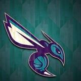 Charlotte Hornets 🐝