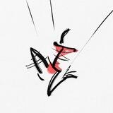 Shibari FEST