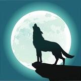 WolfMoon 🐺