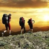 Family_Tour 🏔 Анонсы
