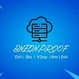 Paid Speed Files Proof (BNEON)