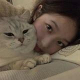 华强钉钉业务