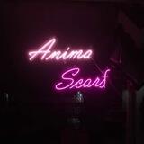 Anima_omdeh