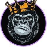 King Kong 2.0 Portal | Stealth Launch BSC