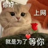 菲律宾直招 - CC ya 🍃
