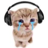 🎧🎧