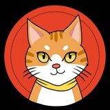 CAT News Channel
