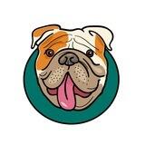 Boxy Inu $BOXY Portal