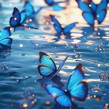 شـعور 🕊🦋