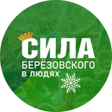 Поболтаем. Берëзовский. Сила БГО
