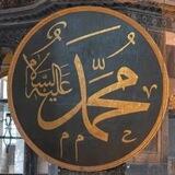 على هدي المصطفى ﷺ
