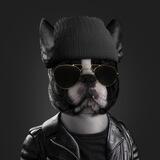 Dogeum NFTs