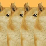 DOGE $AGAIN | PORTAL