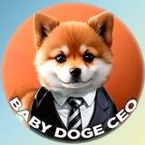 BabyDogeCeo