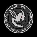 Шершень 🇺🇦