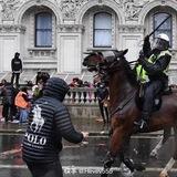cc波一手机口