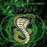 ARSIP GLAZER