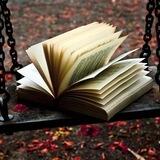Копилка книжных жемчужин 📚