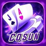 Cosun Group