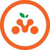 Mandarin Tour | Andijon