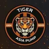 🗽Asia Tiger Pump 亚洲虎 🛡