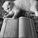 هـوَ الله