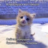 Shadonpizdos (пепсикольный)
