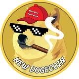 Dogecoin🐶 - Lp burnt