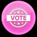 🎀 Pinkvote 🎀 official Community chat