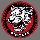 Бахмут BIGCATS інфо Україна