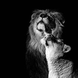 𝑃𝑟𝑖𝑣𝑎𝑡𝑒𝑒𝑙𝑟 🐆