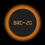 BRC20 COMMUNITY CHANNEL