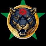CRYPTO 🐯BLACK 🐯TIGER 🐯