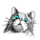 Gato Zuado Memes