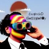 EXTENDED (SUR)REALITY