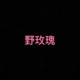 野玫瑰的飞行日记