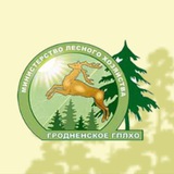 Лесоводы Гродненщины