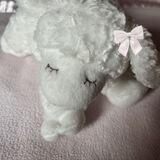 🎀 ꒰ my life ꒱ 🎀
