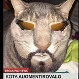 acamemia memeduced memexiety