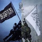ابن الخليل | القرآن الكريم 💚