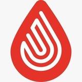 SafeBlood English