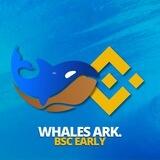 🔸🔶 WhalesArk BSC 🔶🔸