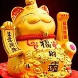 明月拉手交流群